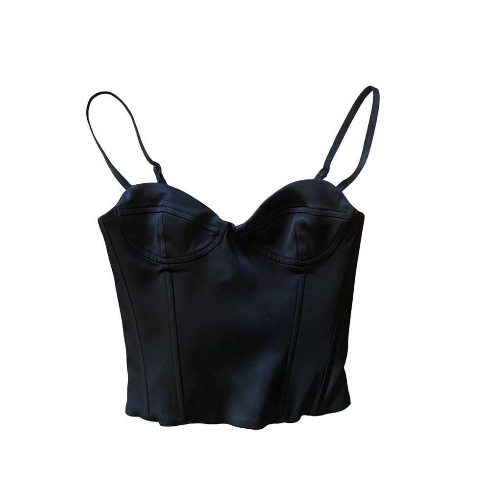 Aritzia Ten Dazzle Satin Corset Bustier Top